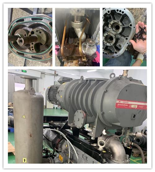 萊寶cp150爪式真空泵維修-誠合真空設備公司